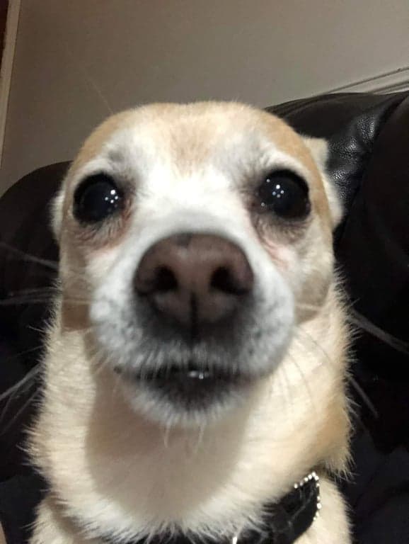 A photo of bax reaction